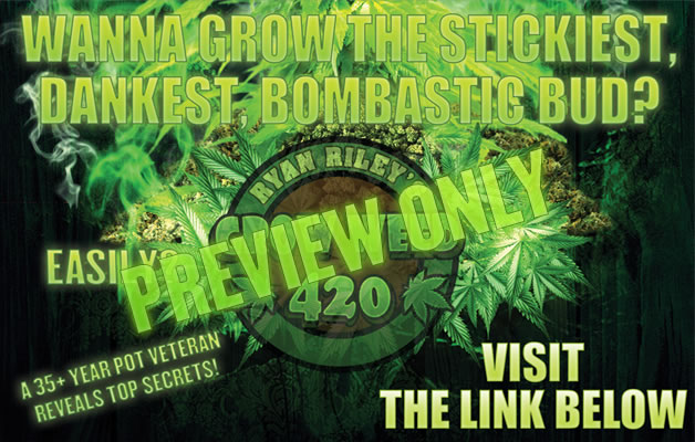 Check out this totally awesome weed grow vid.