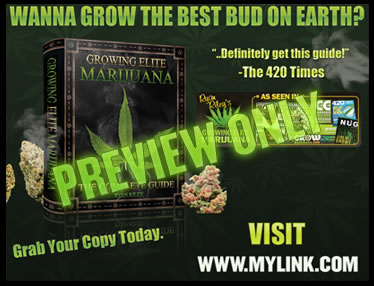 To increase your weed yield with THC potency by understanding this.