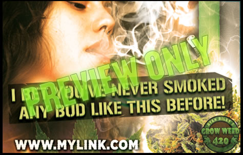 Whiz Kalifa endorses marijuana news.