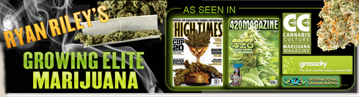 grow medical marijuana