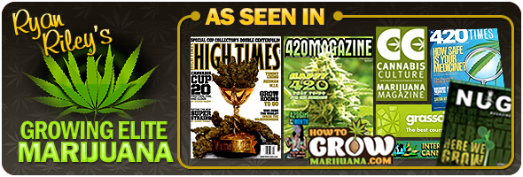 grow medical marijuana