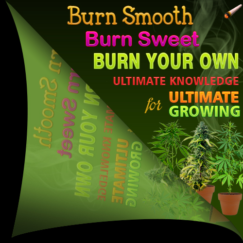 smoke the best grow the best grow your own with these guides.