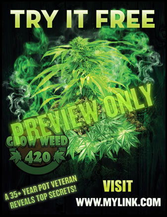 Growing in your bedroom closet with frosty THC potent weed.