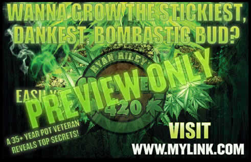 Download the best marijuana growing weed guide bible right now, this second.