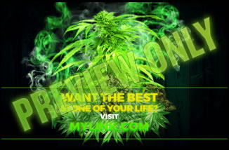 visit the best pot page online with gorw forums and ryan riley's blog.
