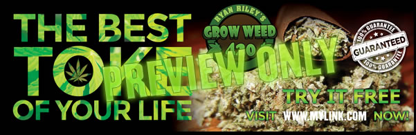 Learning to grow weed hydroponically in your indoors or outdoors home garden is quick.