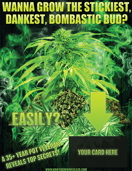 Make your weed grow the fastest with these tips & tricks by famous Ryan Riley.