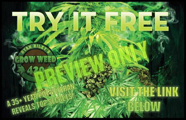 Find the best grow your own weed pot marijuana guide online below.