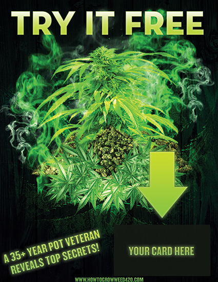 Smoke & grow the best bud with Ryan Riley's epic guides and beginner tutorials.