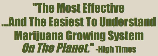how to grow marijuana faster