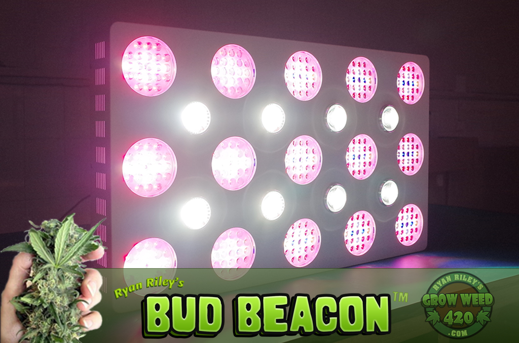 Grow Marijuana LED lights weed harvest yield oz.