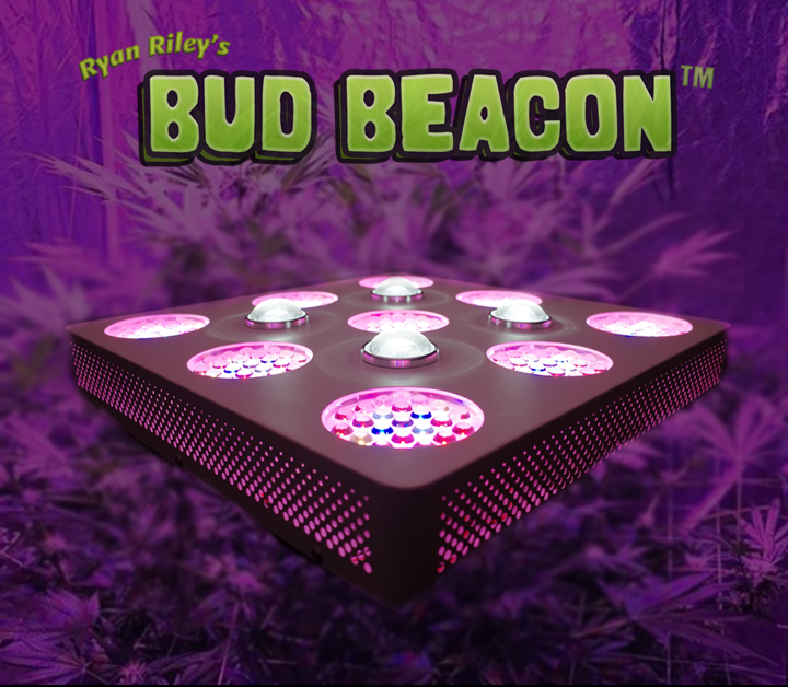 ryan rileys bud beacon - the best marijuana goriwng LED lighting system for beginners to advanced seasoned industry professionals. 